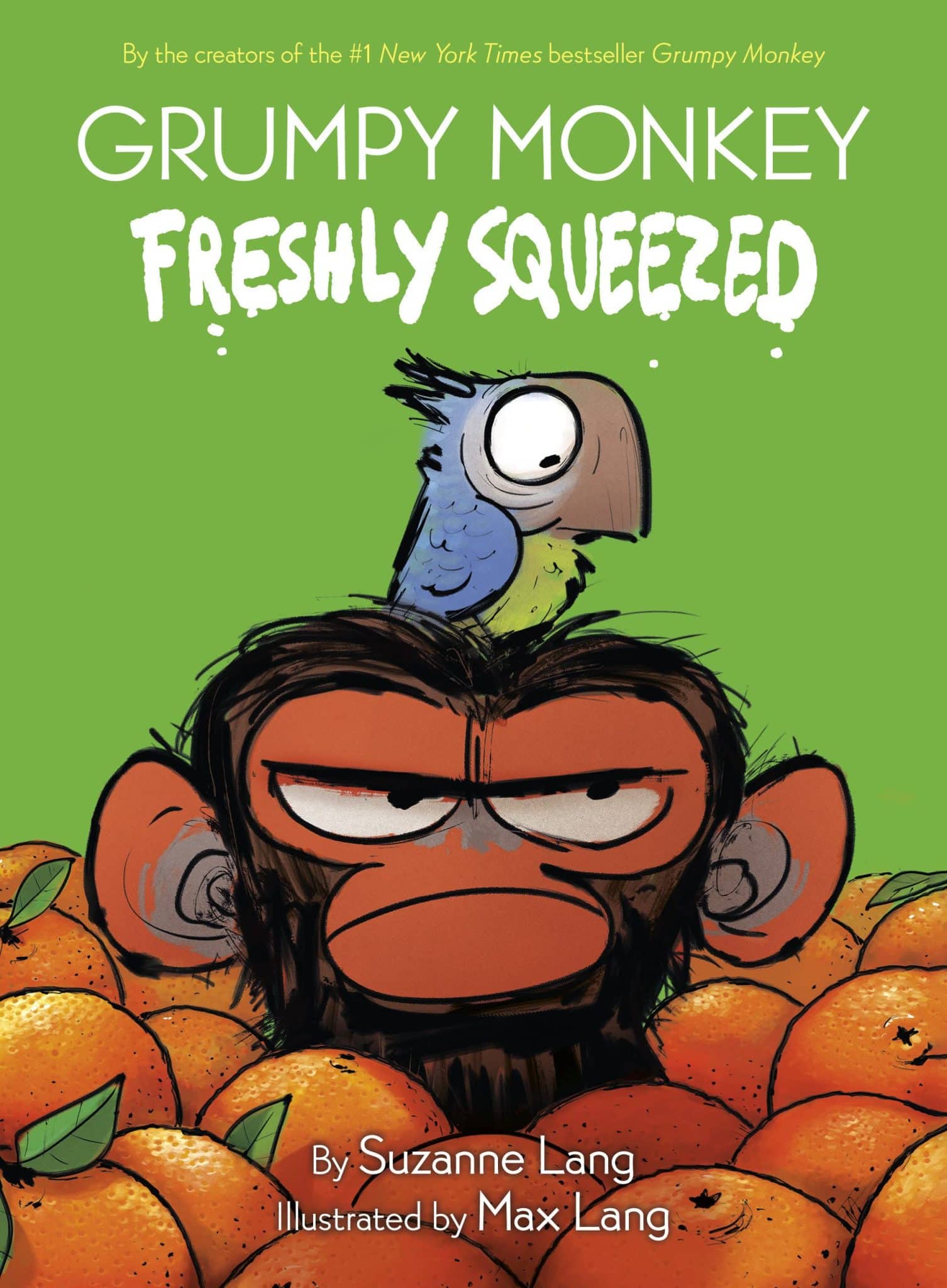 Grumpy Monkey Front